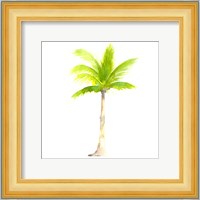 Tropical Icons Palm Tree Fine Art Print