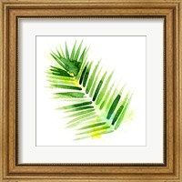 Tropical Icons Palm Frond Fine Art Print