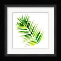 Tropical Icons Palm Frond Fine Art Print