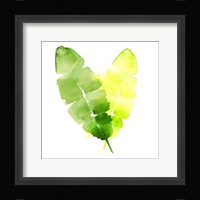 Tropical Icons Banana Leaf Fine Art Print