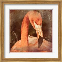 Flamingo Masquerade Fine Art Print