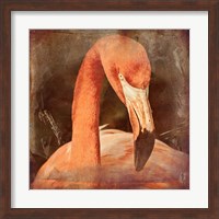 Flamingo Masquerade Fine Art Print