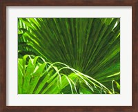 Painted Ferns II Fine Art Print