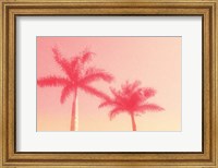 Palm Trees in Pink Fine Art Print