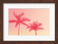 Palm Trees in Pink Fine Art Print
