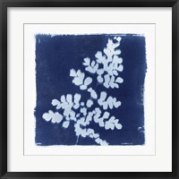 Flora Cyanotype I Fine Art Print