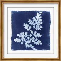 Flora Cyanotype I Fine Art Print