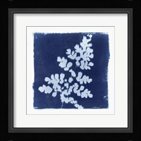 Flora Cyanotype I Framed Print