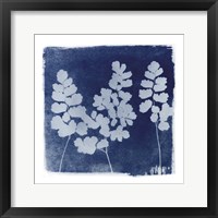 Flora Cyanotype II Framed Print