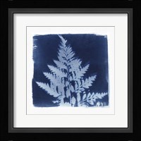 Flora Cyanotype II Fine Art Print