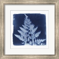 Flora Cyanotype II Fine Art Print