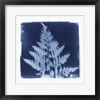 Flora Cyanotype II Framed Print