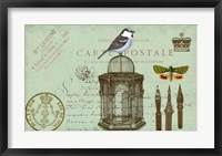 Carte De Visit Bird Fine Art Print