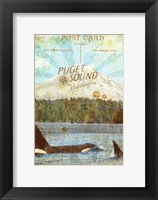 Sound Residents Fine Art Print