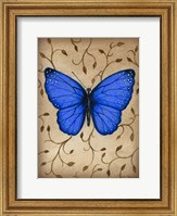 Blue Butterfly Fine Art Print