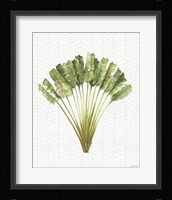 Mixed Greens X Framed Print