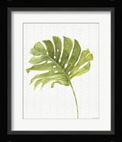 Mixed Greens LXXVII Framed Print