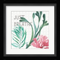 Mixed Greens LXVII Framed Print