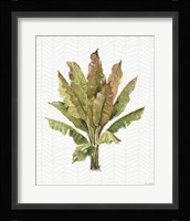 Mixed Greens IX Framed Print
