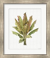 Mixed Greens IX Fine Art Print