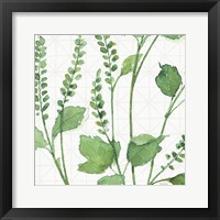 Mixed Greens LIV Framed Print