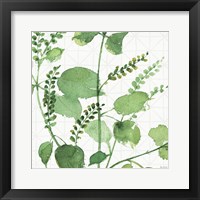Mixed Greens LIII Framed Print