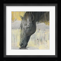 Caleb Fine Art Print