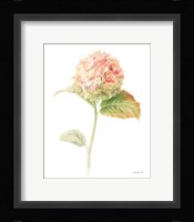 Floursack Florals on White V Framed Print
