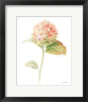 Floursack Florals on White V Framed Print