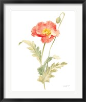 Floursack Florals on White IV Fine Art Print
