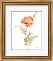 Floursack Florals on White IV Fine Art Print