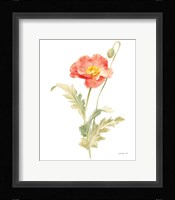 Floursack Florals on White IV Framed Print