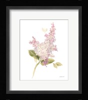 Floursack Florals on White VI Framed Print