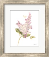 Floursack Florals on White VI Fine Art Print