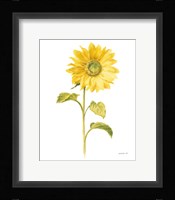 Floursack Florals on White II Framed Print