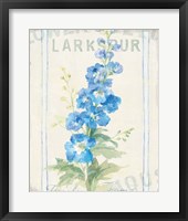 Floursack Florals VII Framed Print