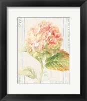 Floursack Florals VI Fine Art Print