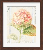 Floursack Florals VI Fine Art Print