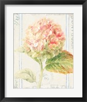 Floursack Florals VI Framed Print