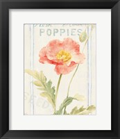 Floursack Florals IV Fine Art Print