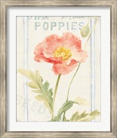 Floursack Florals IV Fine Art Print