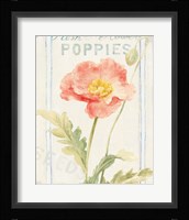 Floursack Florals IV Framed Print