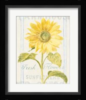 Floursack Florals II Framed Print