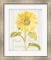 Floursack Florals II Fine Art Print