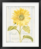 Floursack Florals II Framed Print