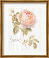 Garden Rose on Wood Love Fine Art Print