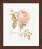 Garden Rose on Wood Love Fine Art Print