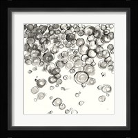 Bubbles IV Framed Print