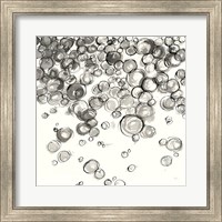 Bubbles IV Fine Art Print