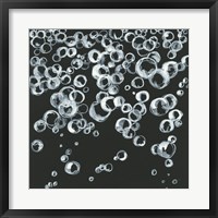 Bubbles II Fine Art Print